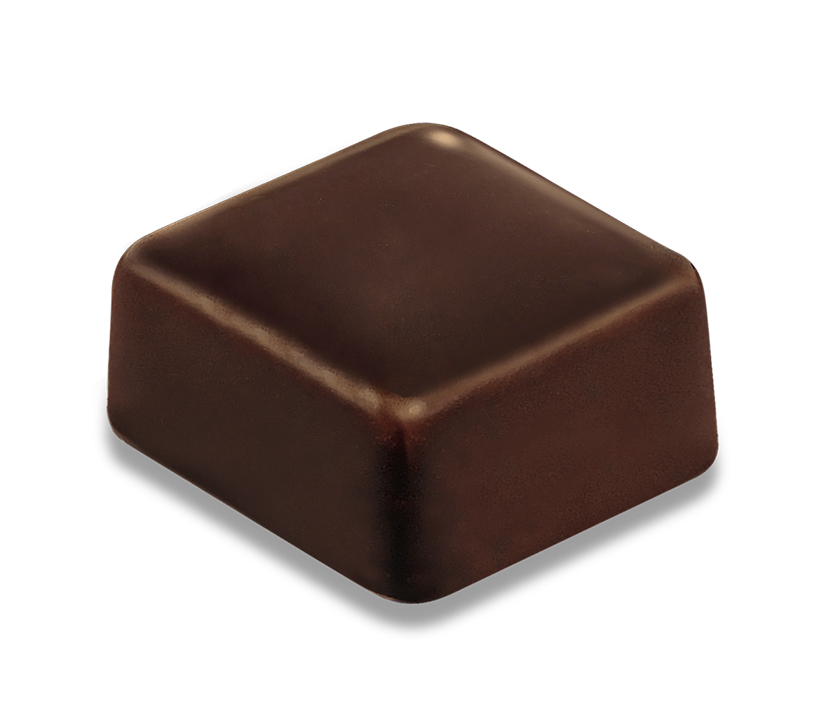 Saveurs & Nature -- Bonbon de chocolat au caramel à la fleur de sel enrobé de chocolat noir bio Vrac - 500 g