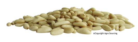 Agrosourcing -- Pignons de pin Vrac (origine Espagne) - 2x 1 kg