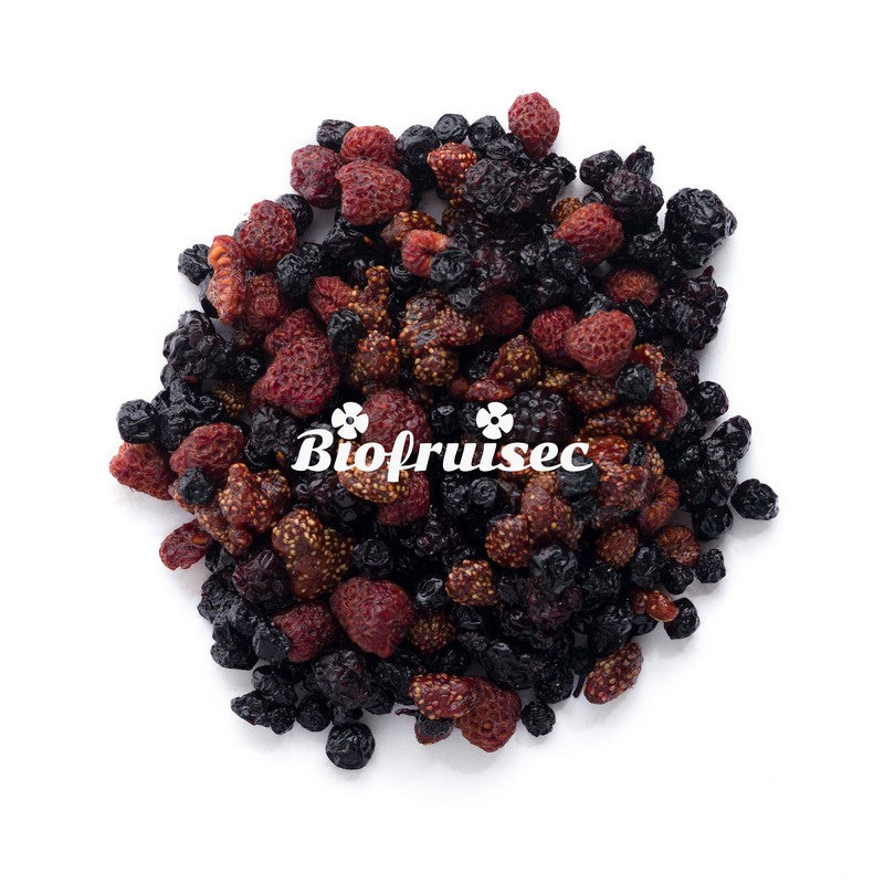 Biofruisec -- Mix superfruits rouges des alpes dinariques séchés bio Vrac - 1 kg
