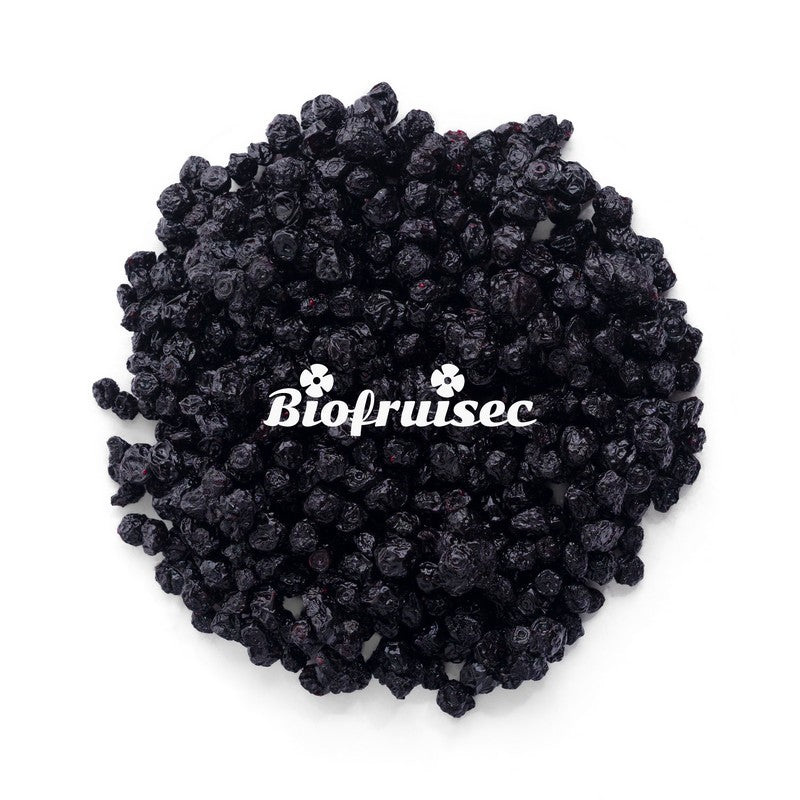 Biofruisec -- Myrtille sauvage des alpes dinariques séchée bio Vrac (origine France) - 1 kg
