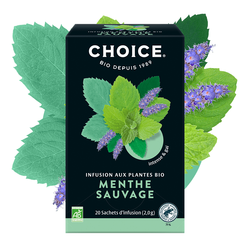 Choice -- Infusion bio menthe sauvage - 20 sachets